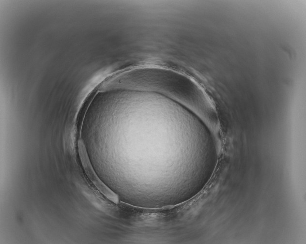 X0000111190152200907081303