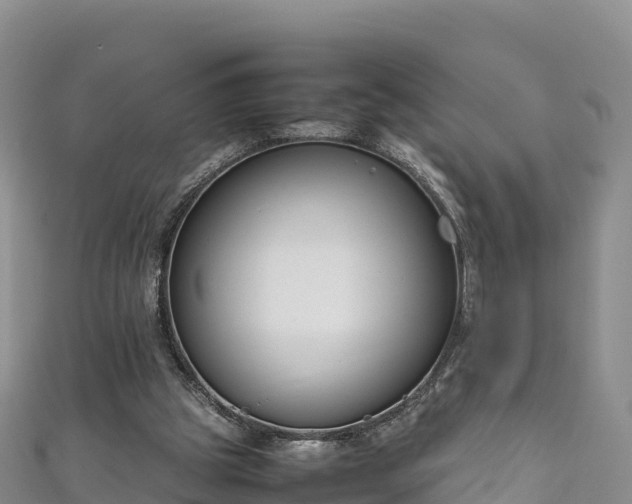 X0000111190153200907081303