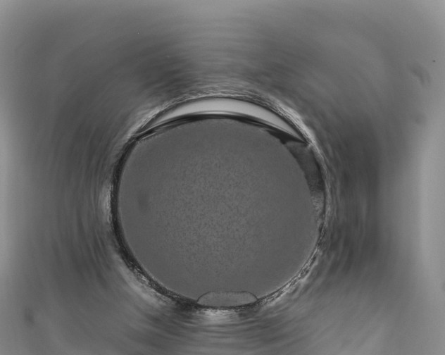 X0000111190154200907081303