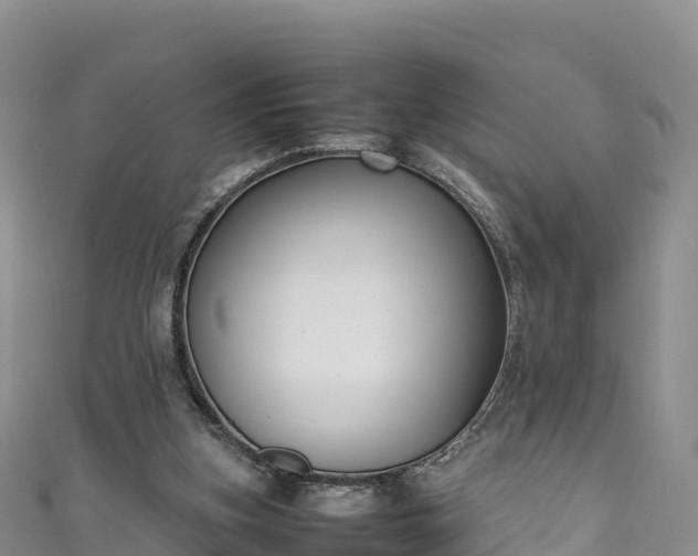 X0000111190155200907081303