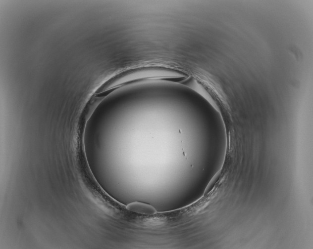 X0000111190156200907081303