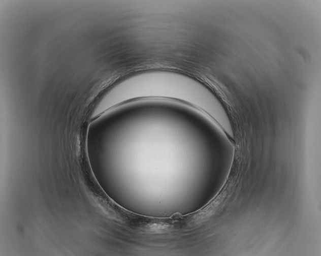 X0000111190158200907081303