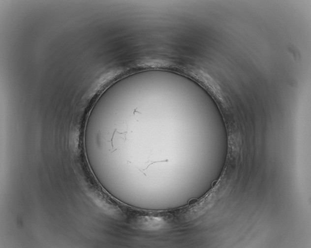 X0000111190159200907081303