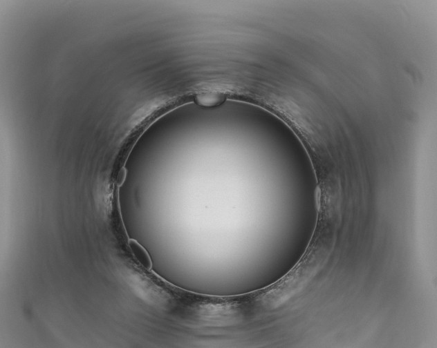 X0000111190160200907081303