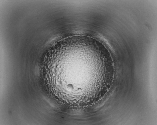 X0000111190161200907081303