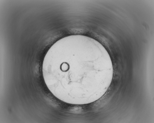 X0000111190162200907081303