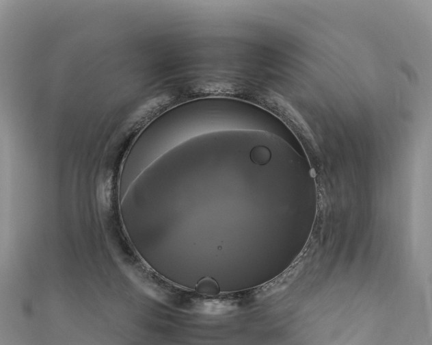 X0000111190163200907081303