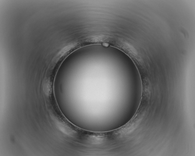 X0000111190164200907081303