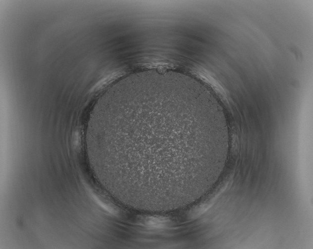 X0000111190165200907081303