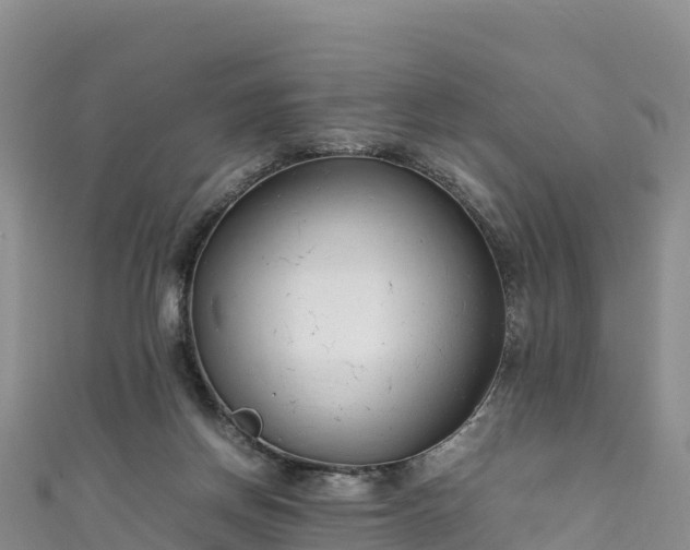 X0000111190166200907081303