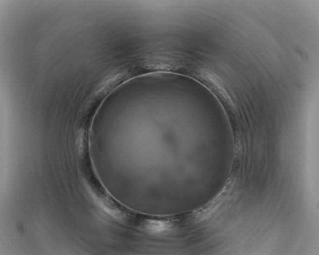 X0000111190167200907081303