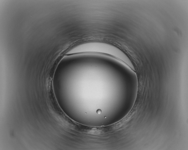 X0000111190168200907081303