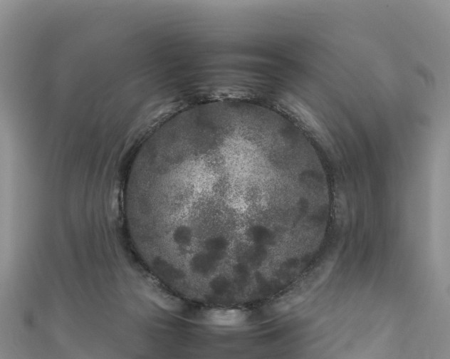 X0000111190169200907081303