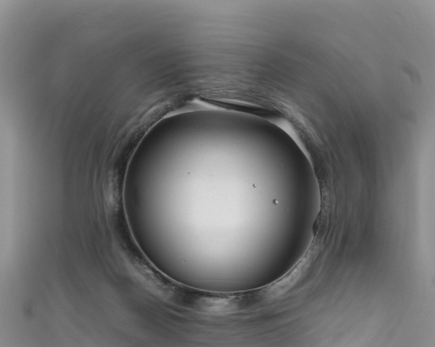 X0000111190170200907081303