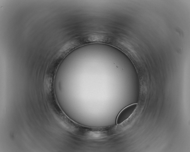 X0000111190171200907081303