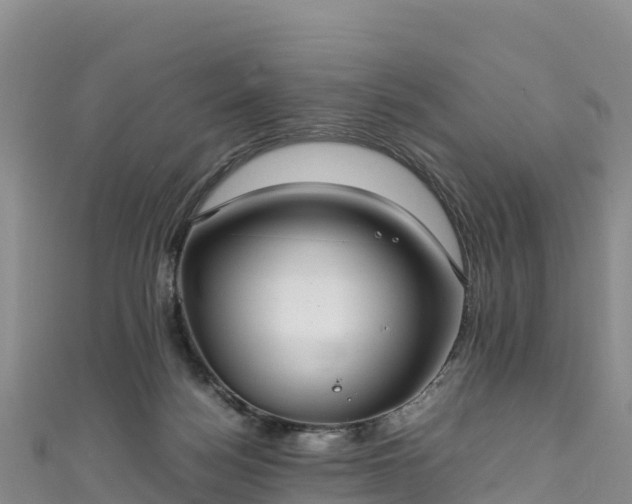 X0000111190172200907081303