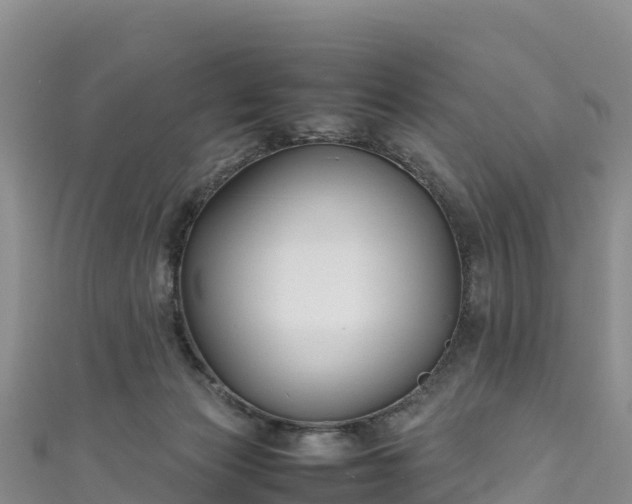 X0000111190173200907081303