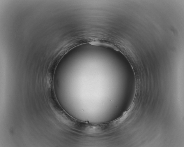 X0000111190174200907081303