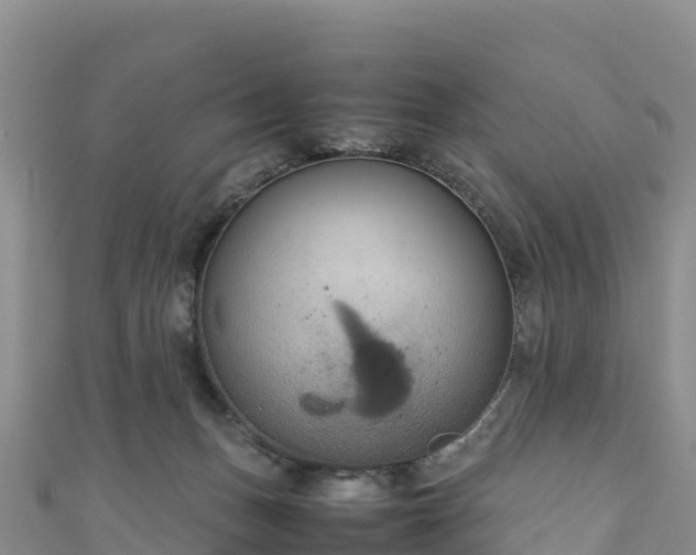 X0000111190175200907081303