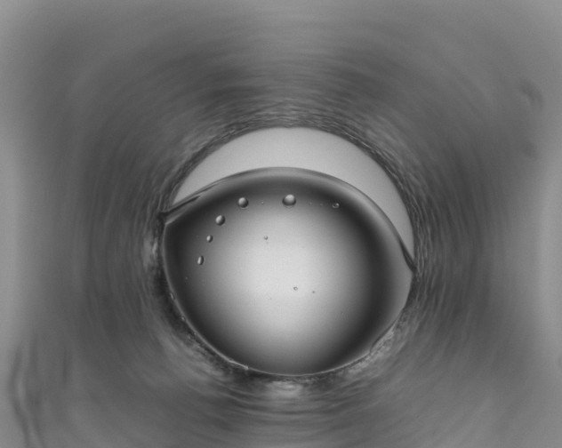 X0000111190176200907081303