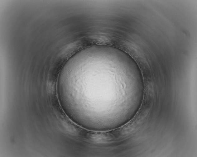 X0000111190177200907081303