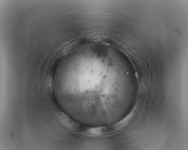 X0000111190178200907081303