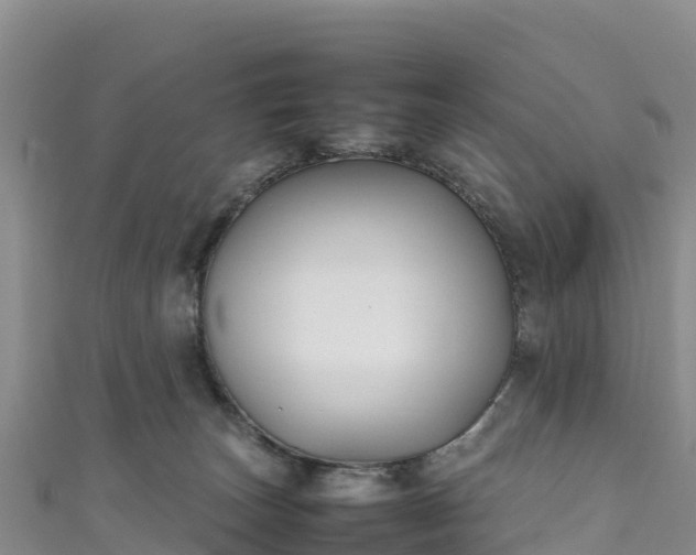 X0000111190179200907081303