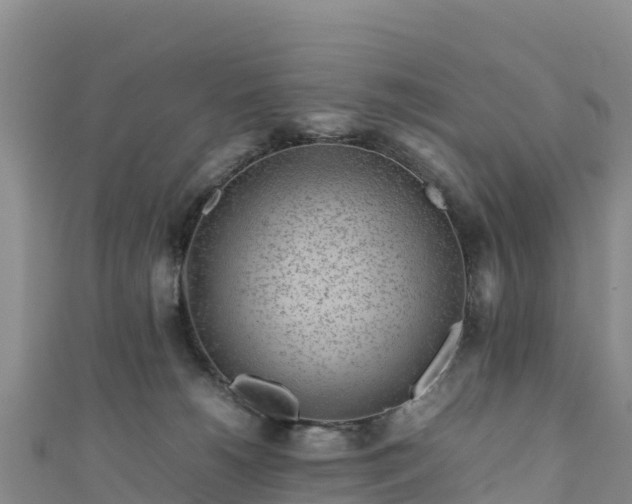 X0000111190180200907081303