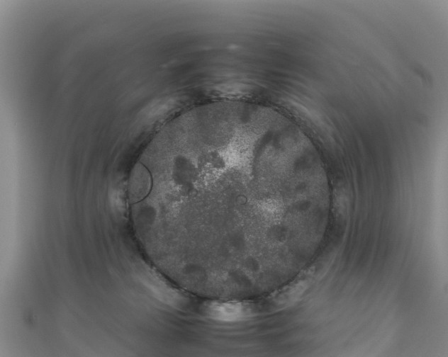 X0000111190181200907081303