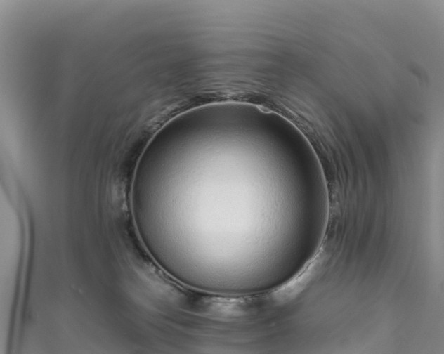 X0000111190182200907081303