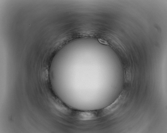 X0000111190183200907081303