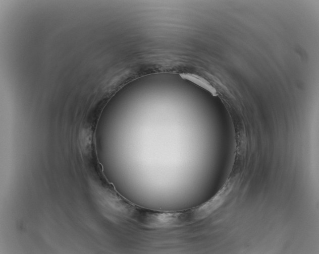 X0000111190184200907081303