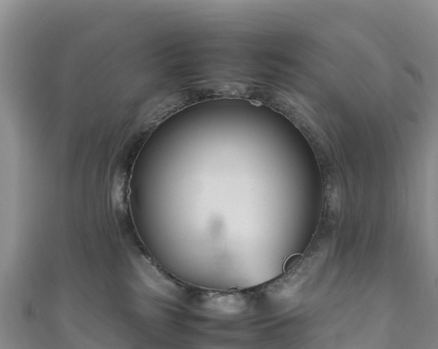 X0000111190185200907081303