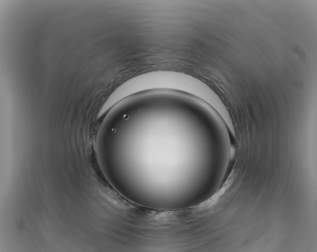 X0000111190186200907081303