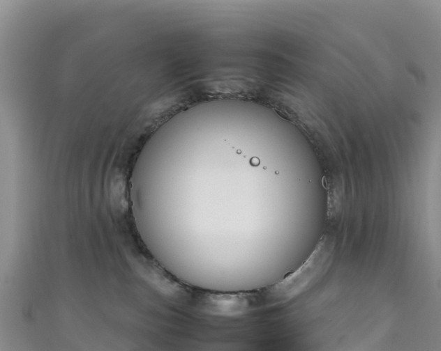 X0000111190187200907081303