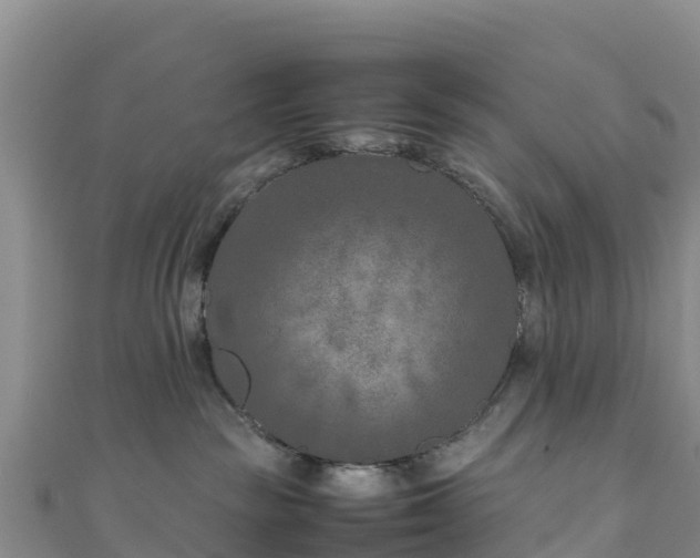 X0000111190189200907081303