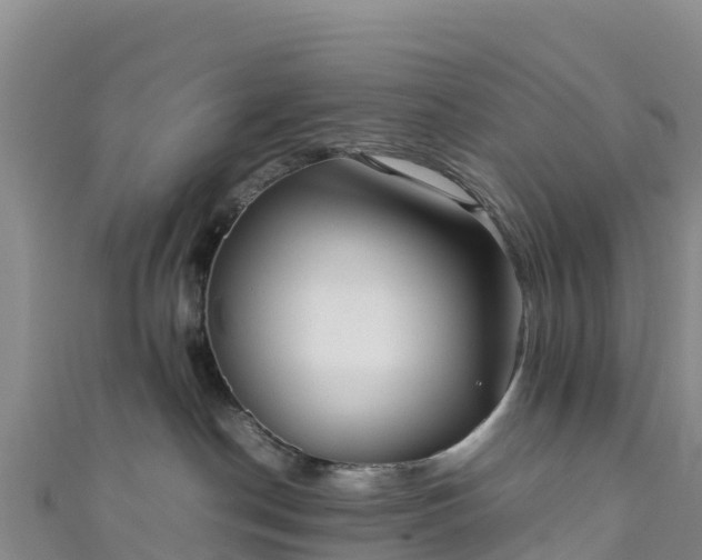 X0000111190190200907081303