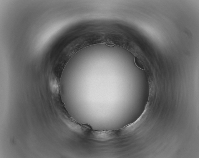 X0000111190191200907081303