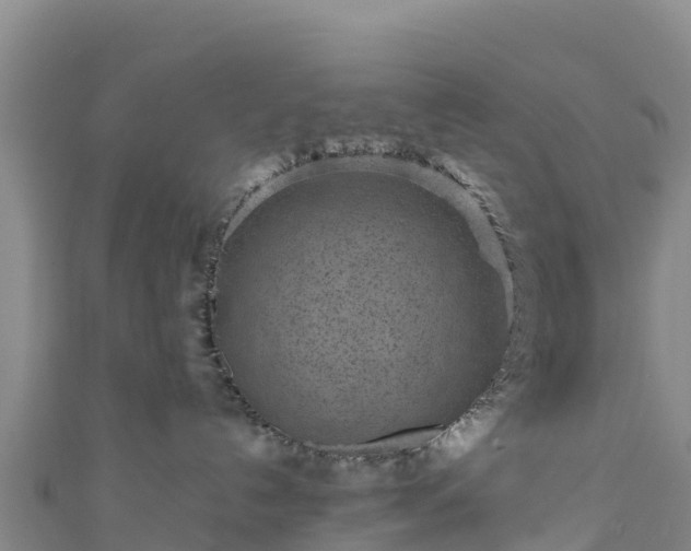 X0000111190192200907081303