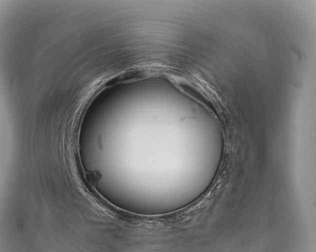 X0000111190193200907081303