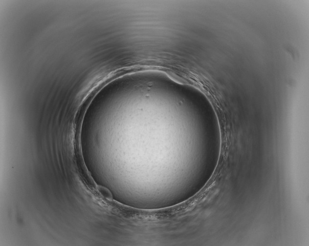 X0000111190194200907081303