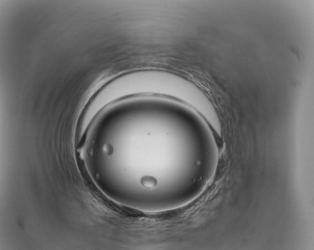 X0000111190195200907081303