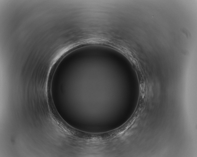 X0000111190196200907081303