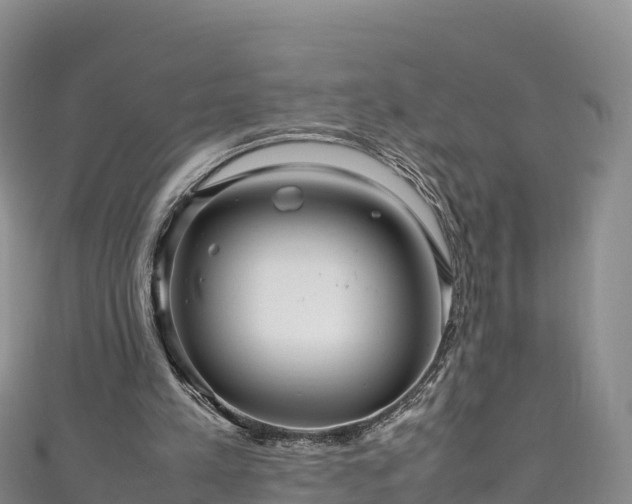 X0000111190197200907081303