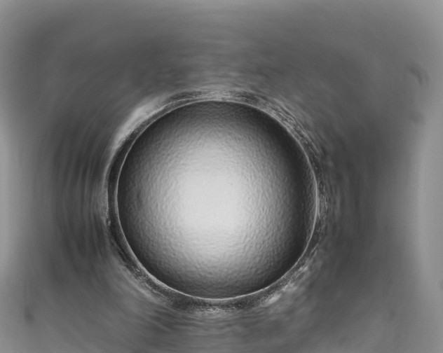 X0000111190198200907081303