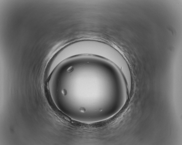 X0000111190199200907081303