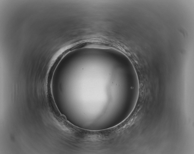 X0000111190200200907081303