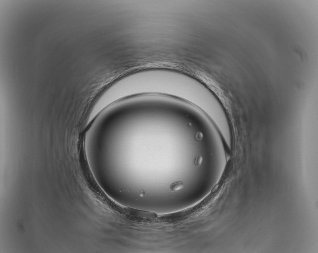 X0000111190201200907081303