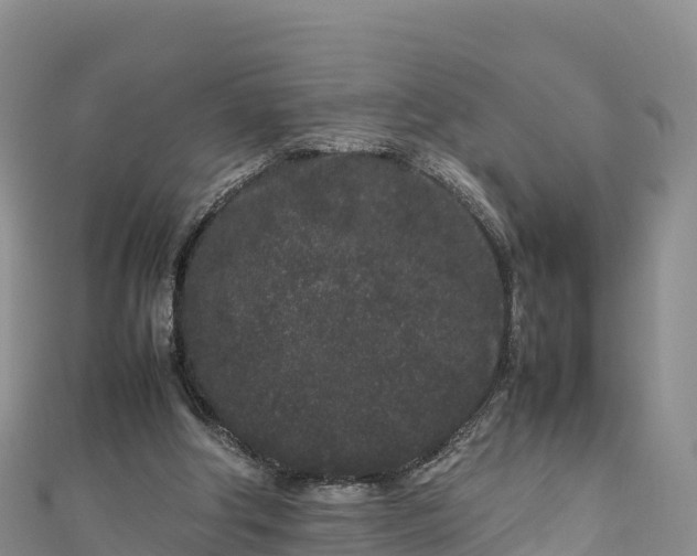 X0000111190202200907081303