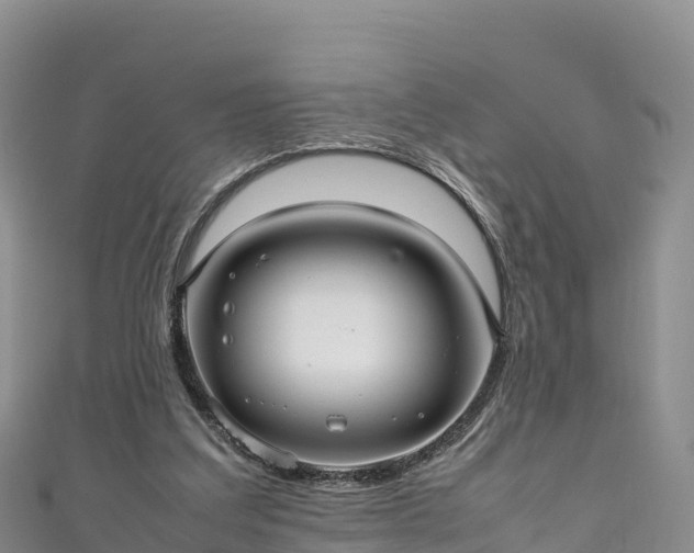 X0000111190203200907081303